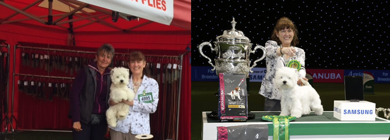 Marie Burns and CH BURNEZE GEORDIE GIRL visiting the Essenjay stand at Southern Counties after their Crufts 2016 BIS win.